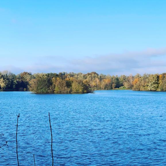 🦆🐟
Les lacs et leurs habitants attendant patiemment leurs premiers visiteurs… 
The lakes and their inhabitants patiently waiting for their first visitors… 
#campingvaldebonnal #valdebonnal #franchecomte #openingsoon #naturecamping #familycamping #5starcamping