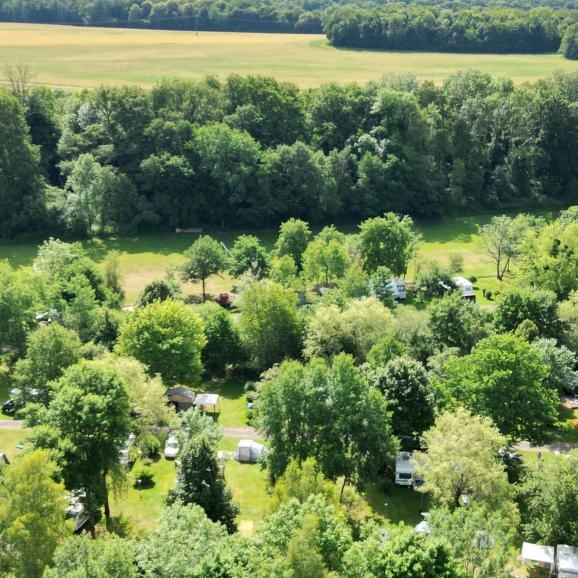 🌱🐛🐸🪲🐢🌳
Envie de verdure ? Vous êtes au bon endroit au Val de Bonnal ! 
In the mood for greenery? You’re in the right place at Val de Bonnal!
#campingvaldebonnal #valdebonnal #greenery #naturecamping #franchecomte #countryside