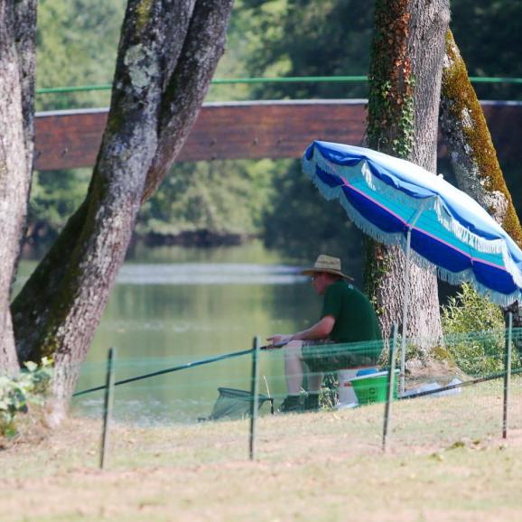 🎣⛱️
Patience et passion de découvrir la vie qui se cache sous les eaux de l’Ognon 
Patience and passion to discover the life that hides beneath the waters of the Ognon 
#valdebonnal #campingvaldebonnal #fishing #riversidecamping #kidscamping #glamping #franchecomte