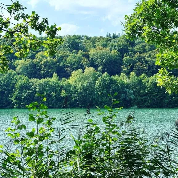 🌳🏊 
Profitez d’une baignade dans les eaux du lac, pour terminer l’été en beauté 
Enjoy a swim in the waters of the lake, to end the summer in style 
#campingvaldebonnal #valdebonnal #naturecamping #familycamping #franchecomte
