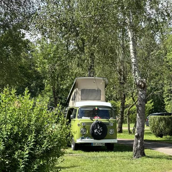 🚐🚐
« LIFE IS GOOD »
#campingvaldebonnal #valdebonnal #franchecomte #vanlife
